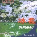 桃园市好玩的地方
